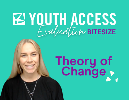Theory of change help video