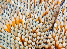 Governance for influencing toolkit