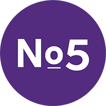No 5 logo